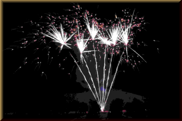 Preview: NICO Europe 13521 Silver Coconut, 6 Schuss - Bild 1